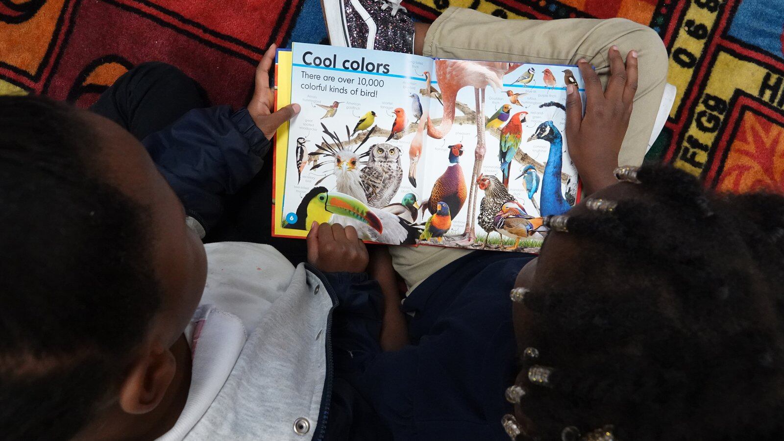 Close-up of students reading a book that says “Cool colors. There are over 10,000 colorful kinds of bird!”