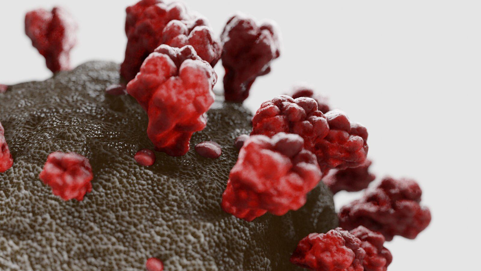 3D art based on microscope images of the coronavirus from the 2020 outbreak in Wuhan, China