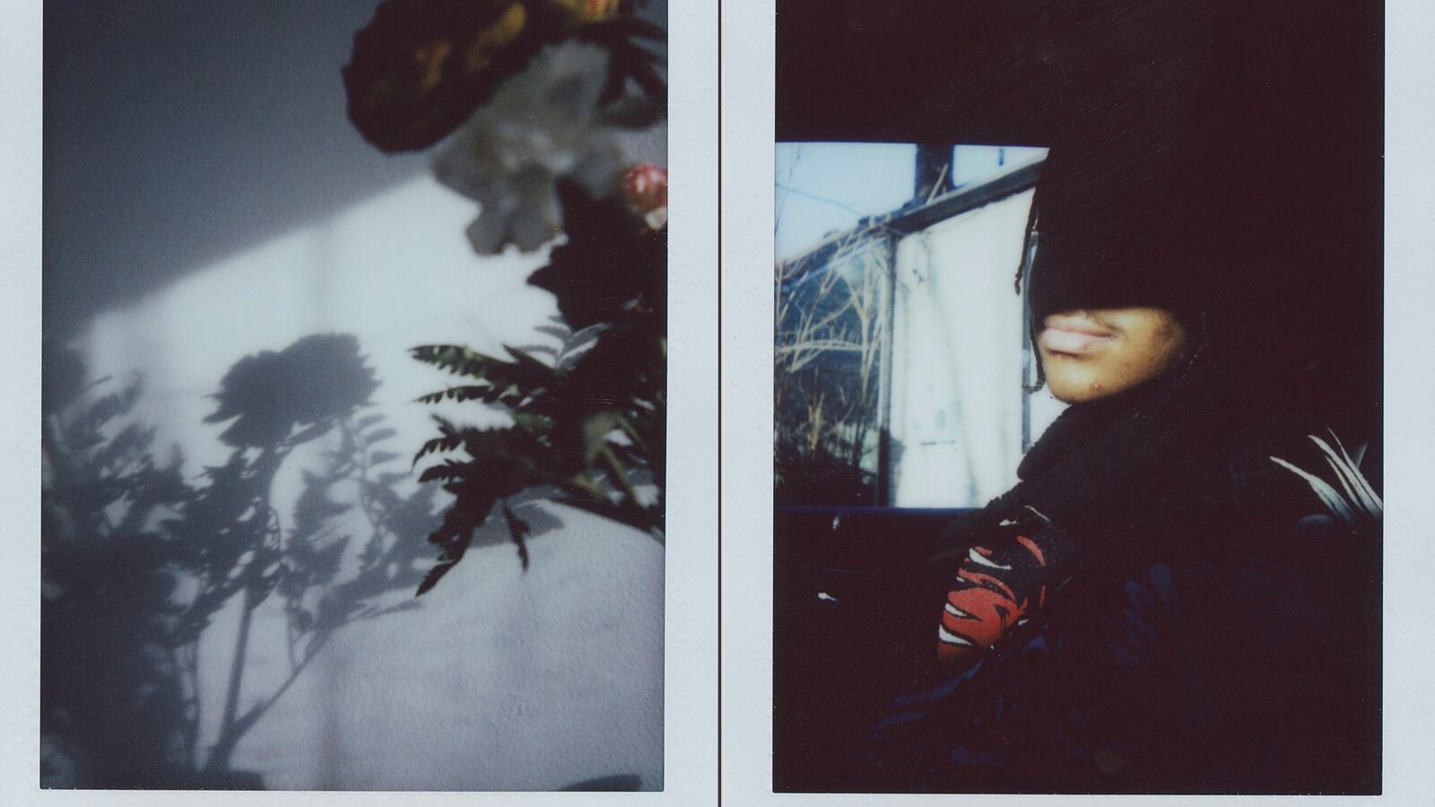 At left, an artistic photo of flowers seen in shadow. At right, a teen woman seen in shadow, with her mouth and chin in the light.
