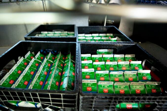 School milk cartons in milk crates.