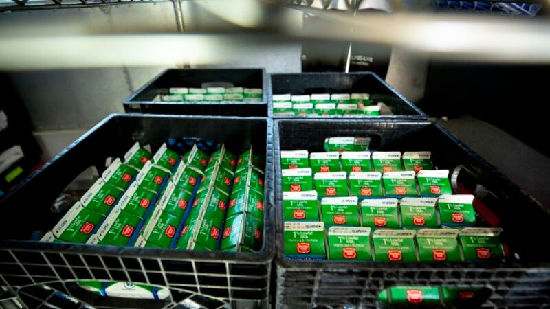 School milk cartons in milk crates.