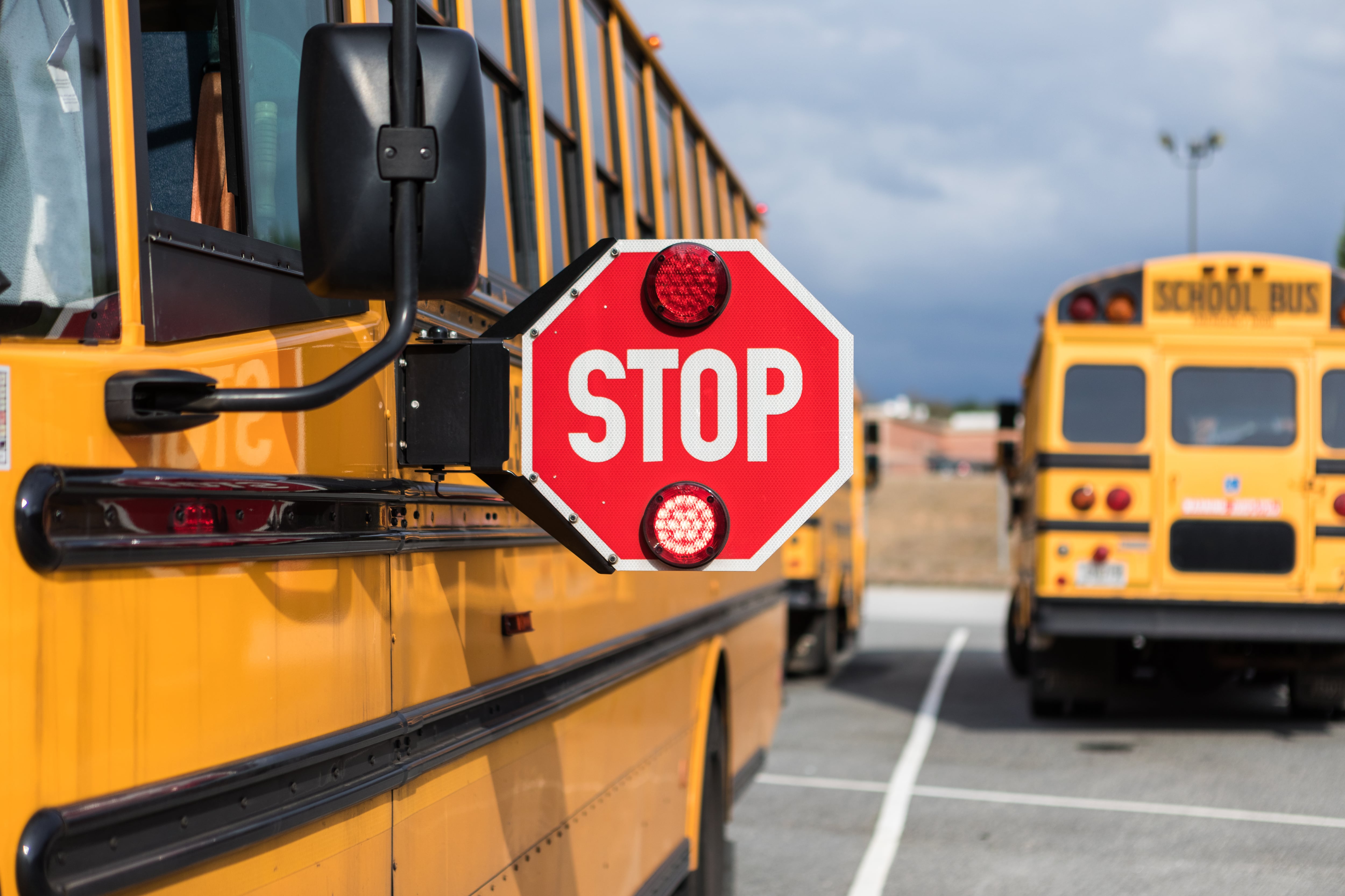 A stop sign on a school bus.