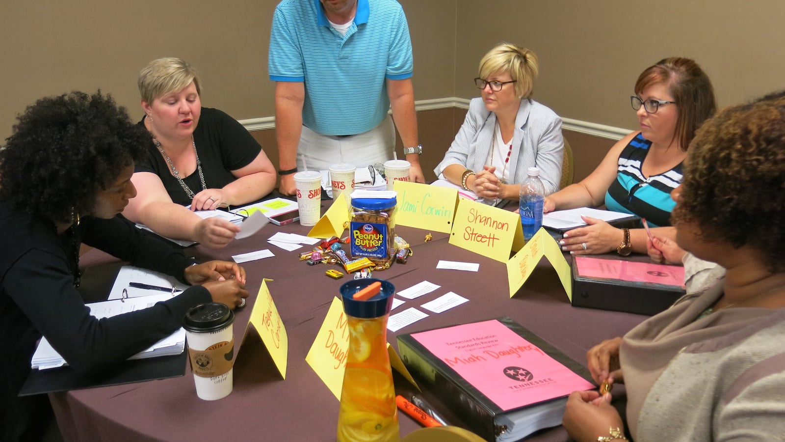 English teachers on the State Standards Review Committee studied public feedback last summer as part of Tennessee's 15-month review of the Common Core State Standards. Their work is incorporated into final recommendations being considered Friday by the State Board of Education.