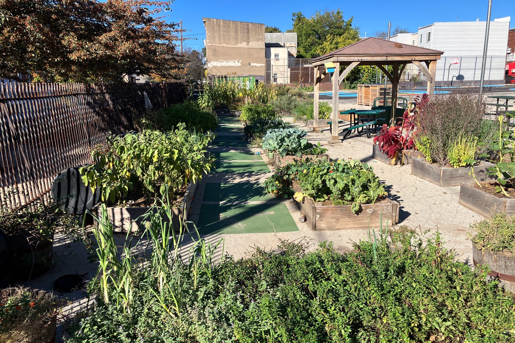 A garden next to a building.