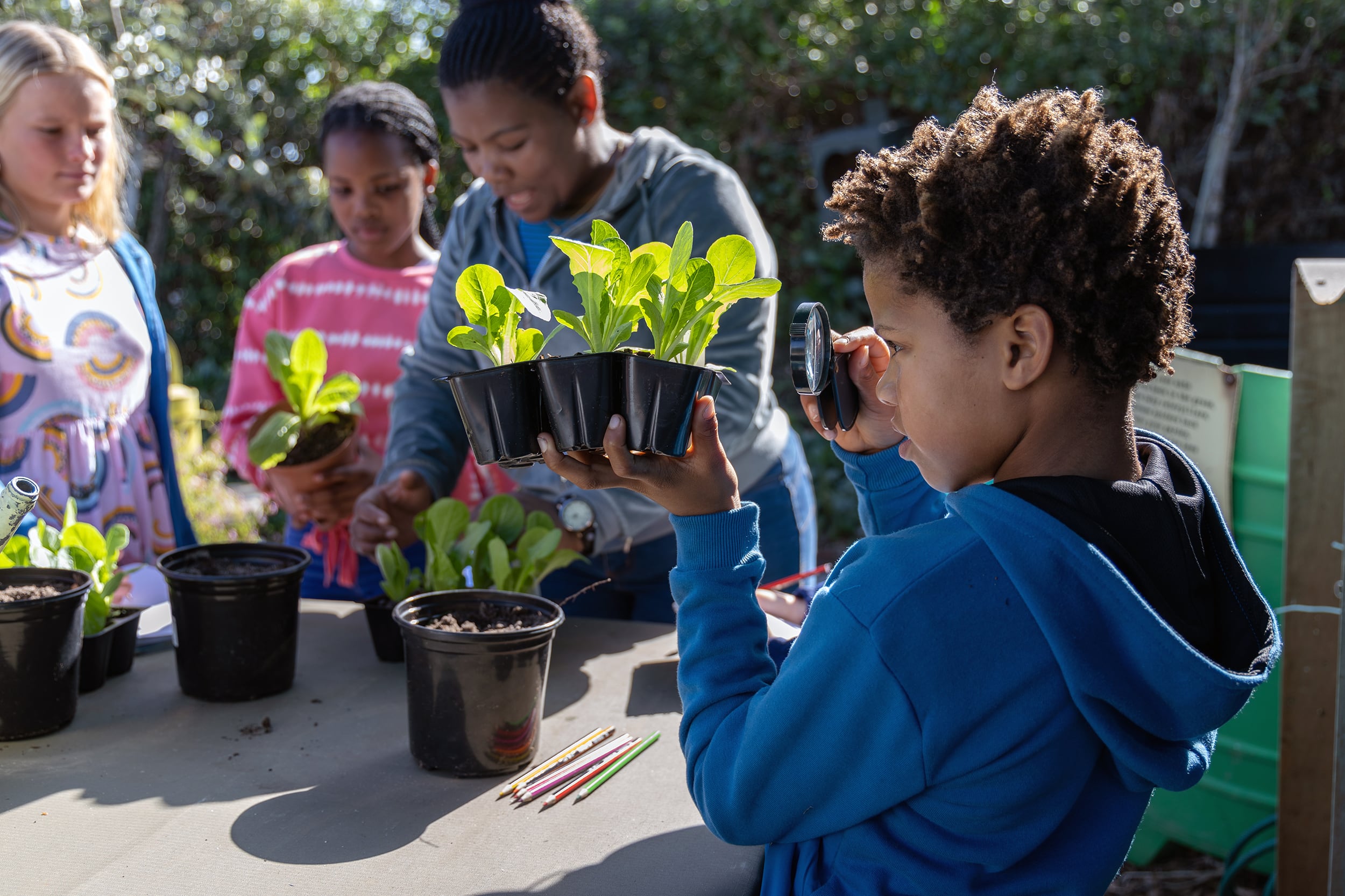 A photograph of a group of school children learning about growing food while holding plants outside.