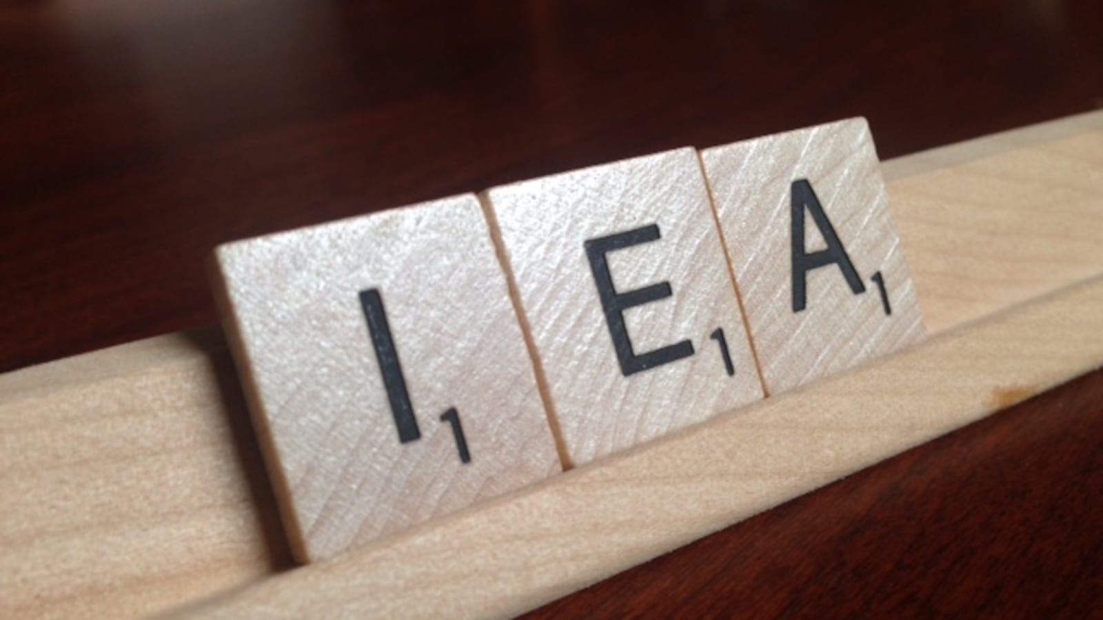 IEA is the acronym for the Individualized Education Act, the new Tennessee voucher law that takes effect in 2017 and provides students with certain disabilities with public money to pay for private education-related services.