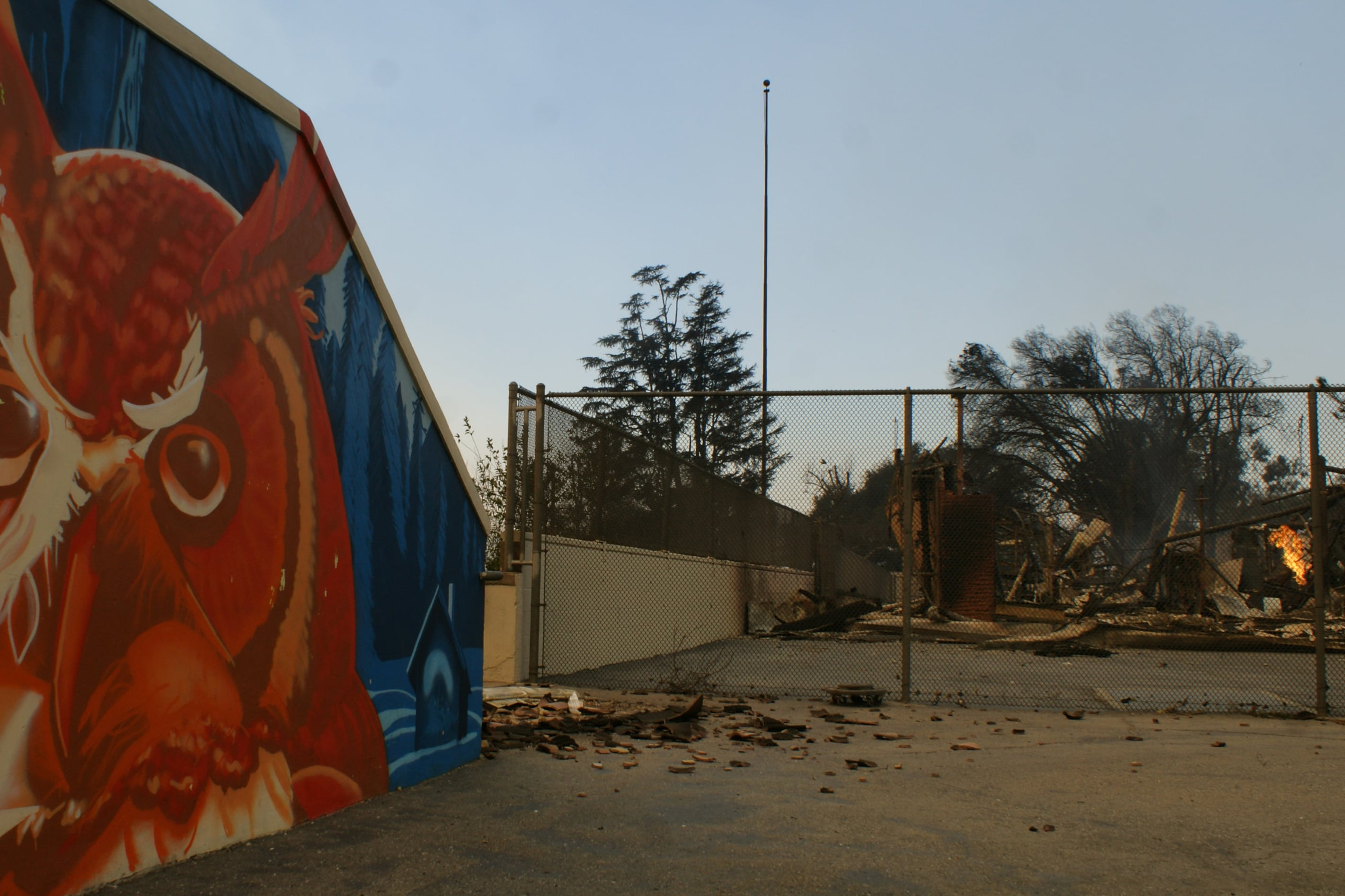 A mural with a painted owl on the side of a building with a burned down structure still on fire in the background.