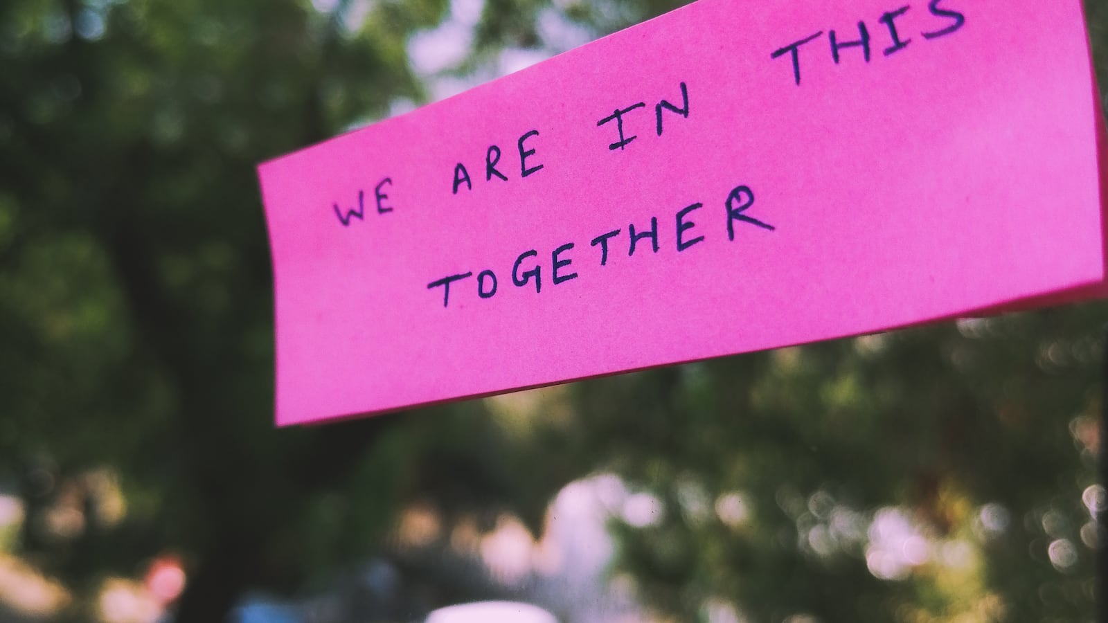 Pink handwritten sign that says, "We are in this together."