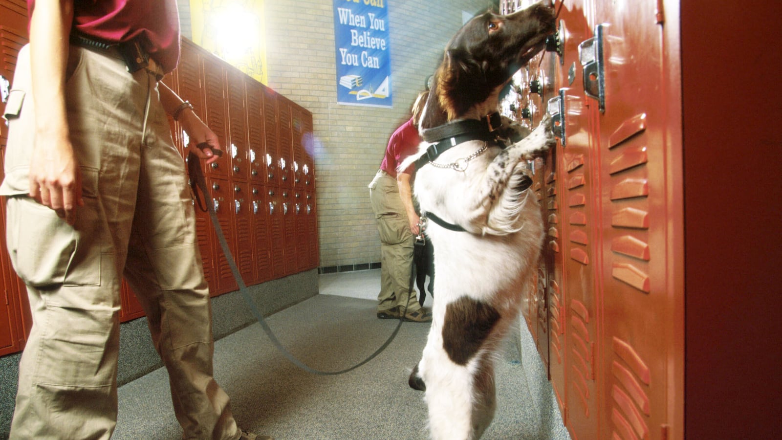 A dog sniffs a locker during training at a school in 1996 in Houston, TX. Interquest Group trains drug-sniffing dogs.
