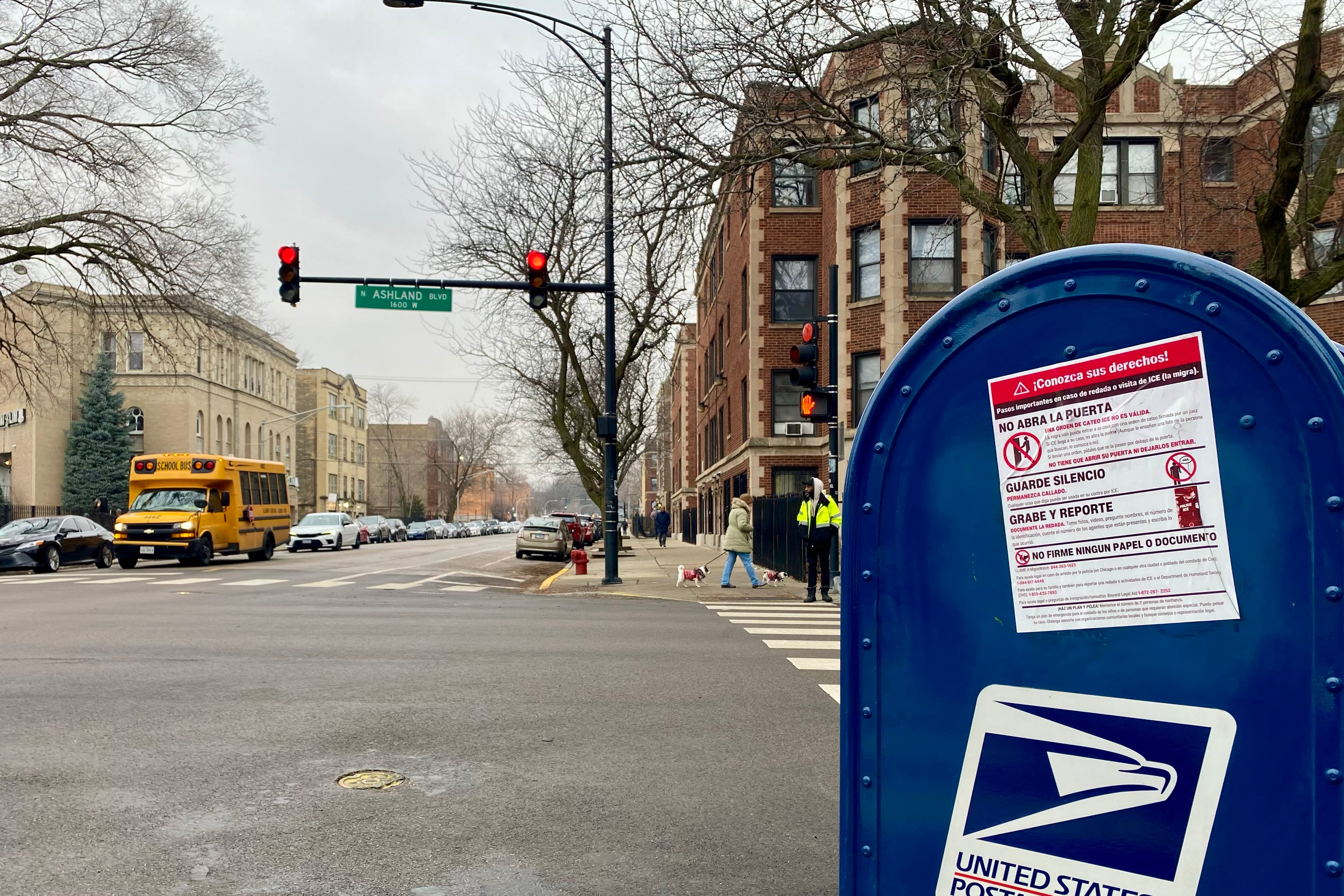 A USPS box with a "known your rights" sticker on the side on a street corner with a yellow school bus and a street light in the background.