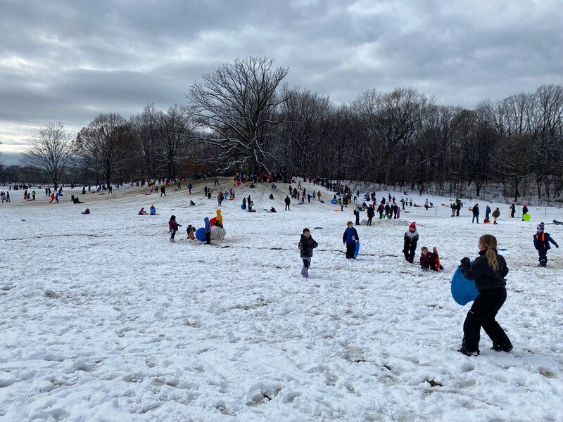 Kids with sleds dot a snow-covered hill in a park.