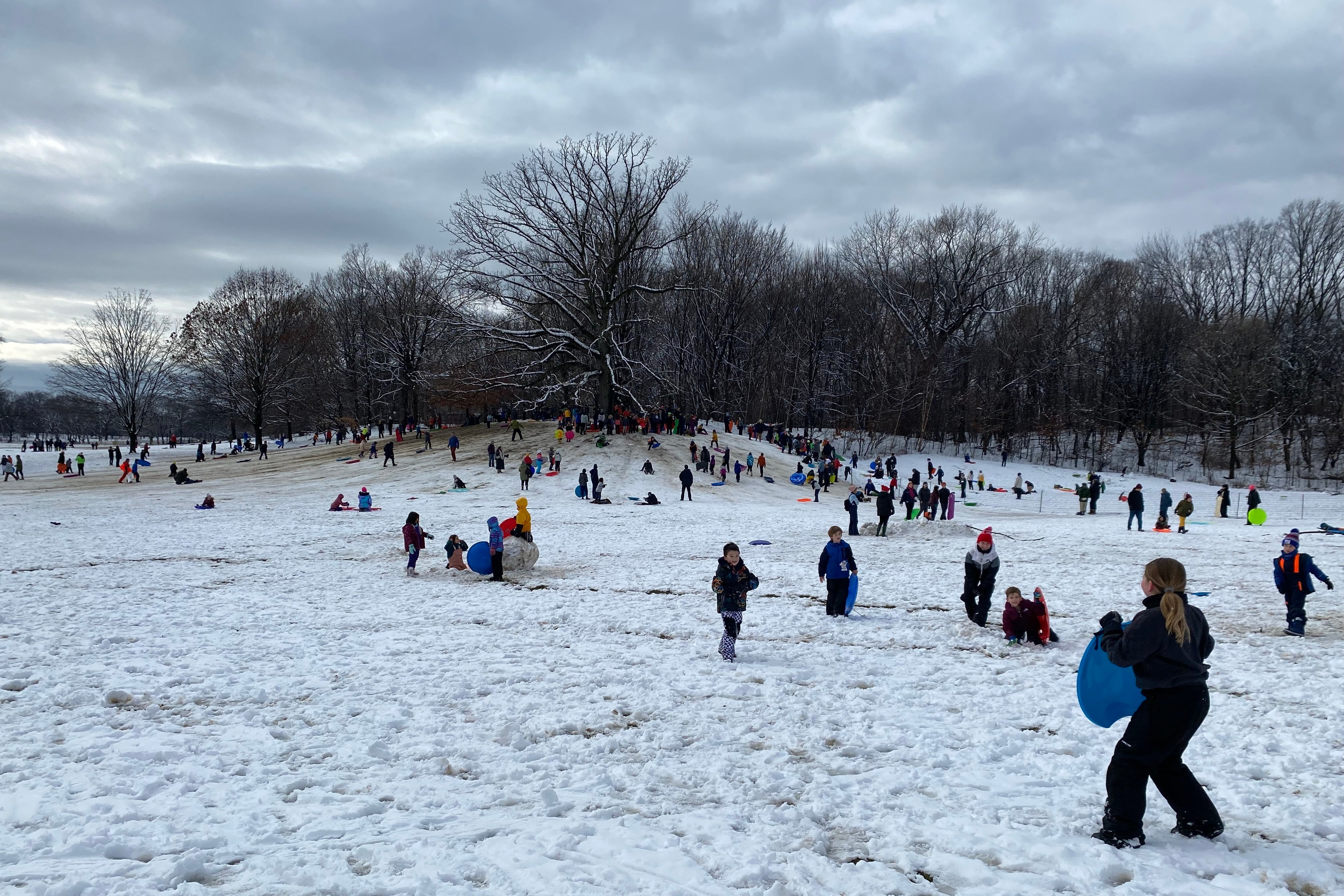 Kids with sleds dot a snow-covered hill in a park.
