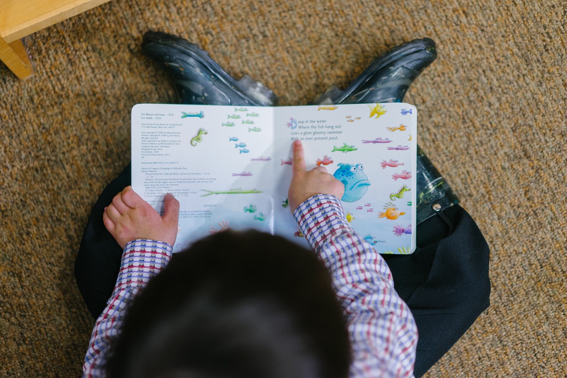 Overhead shot of a young child reading an illustrated children’s book about fish.