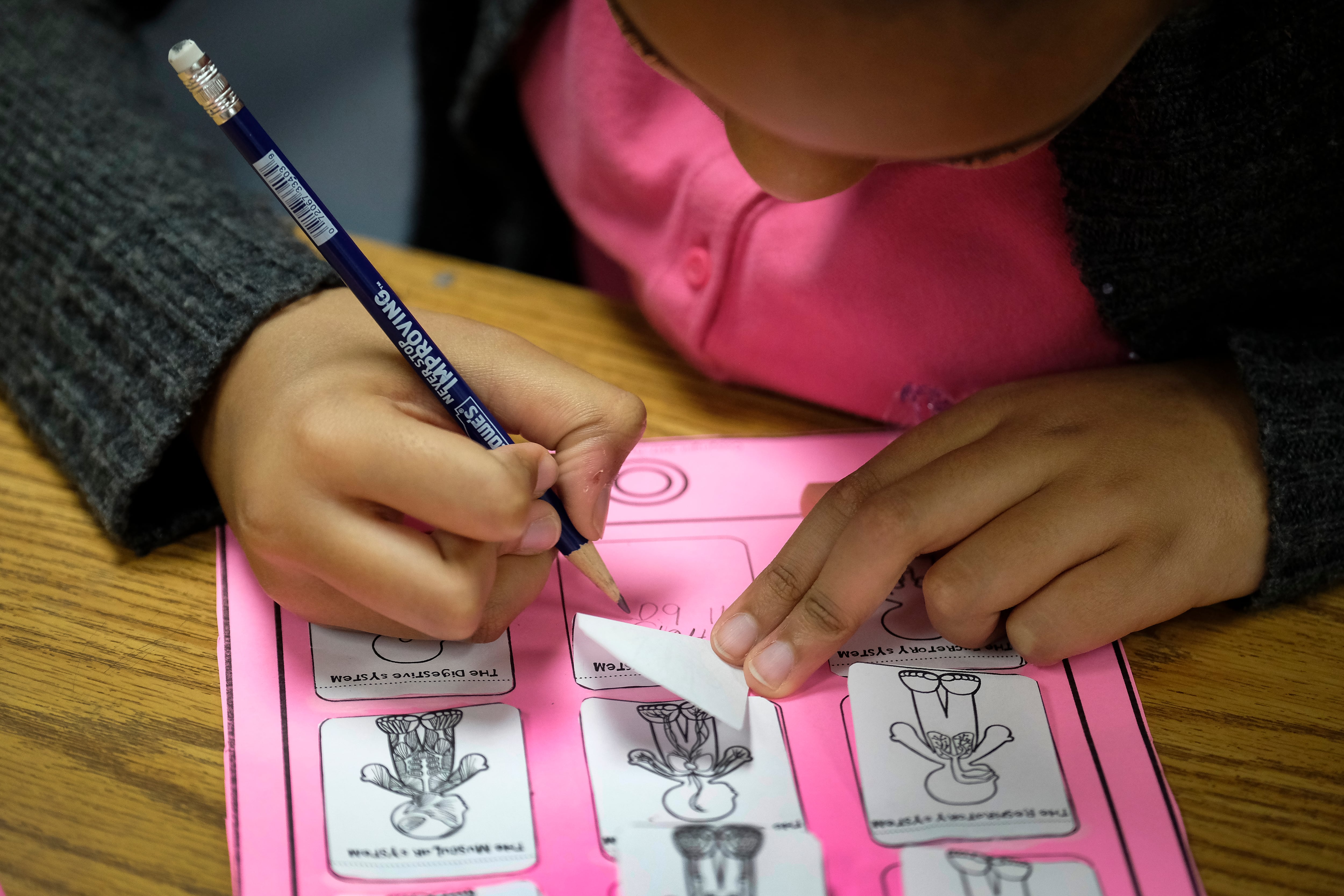 A student holds a pencil to fill out a pink-and-white worksheet.