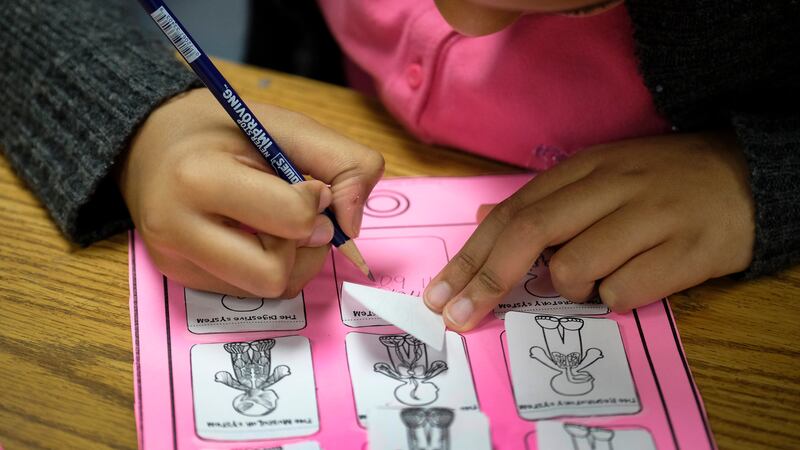A student holds a pencil to fill out a pink-and-white worksheet.