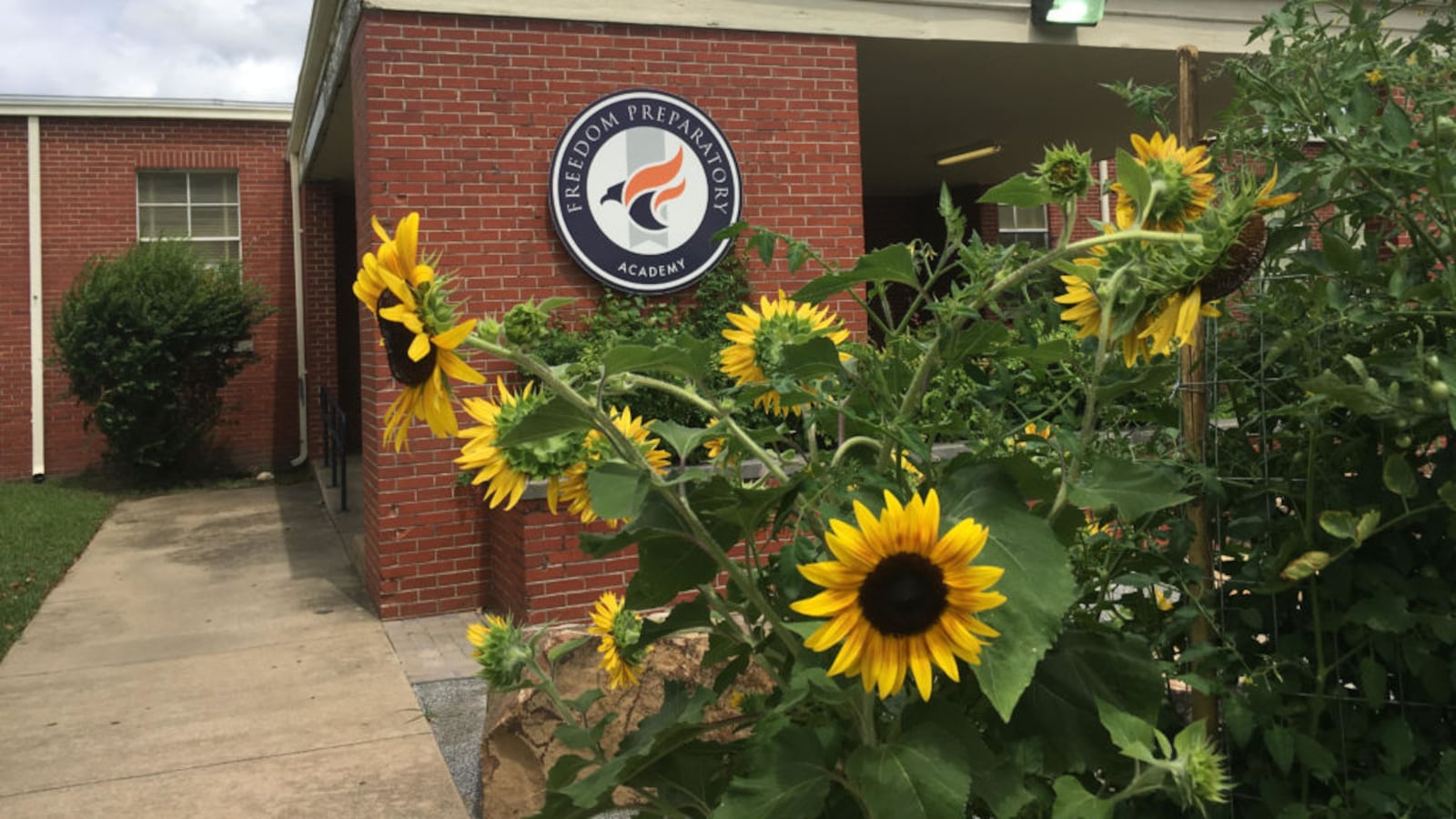 Freedom Preparatory Academy. Shelby County Schools board had already approved the Freedom Preparatory Academy network to open its sixth school in Memphis. The academy won approval Tuesday night to change its location from Sherwood Forest to the Westwood neighborhood.