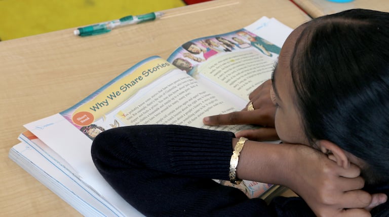 Literacy overhaul: See which curriculum is dominating NYC's reading mandate