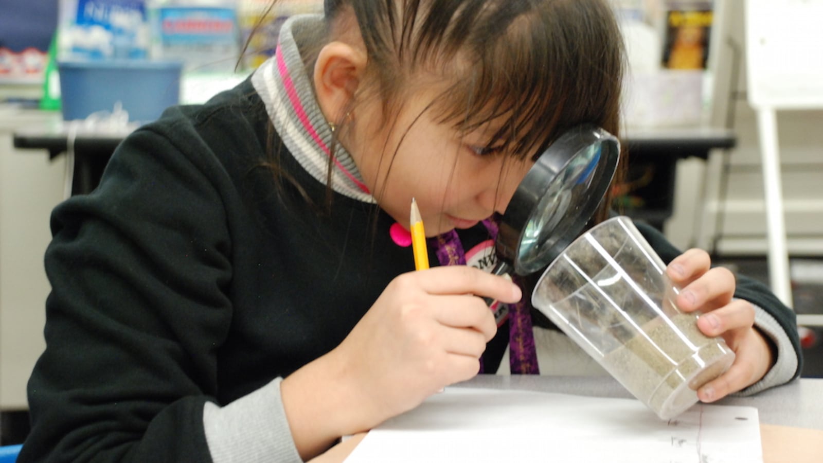 A Lumberg Elementary School student exams sand as part of an experiment.