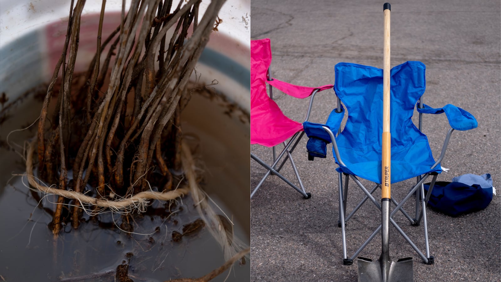 (Left) Tree saplings sit in a white bucket of water. (Right) A shovel leans against a blue lawn chair, which is sitting next to a pink chair.