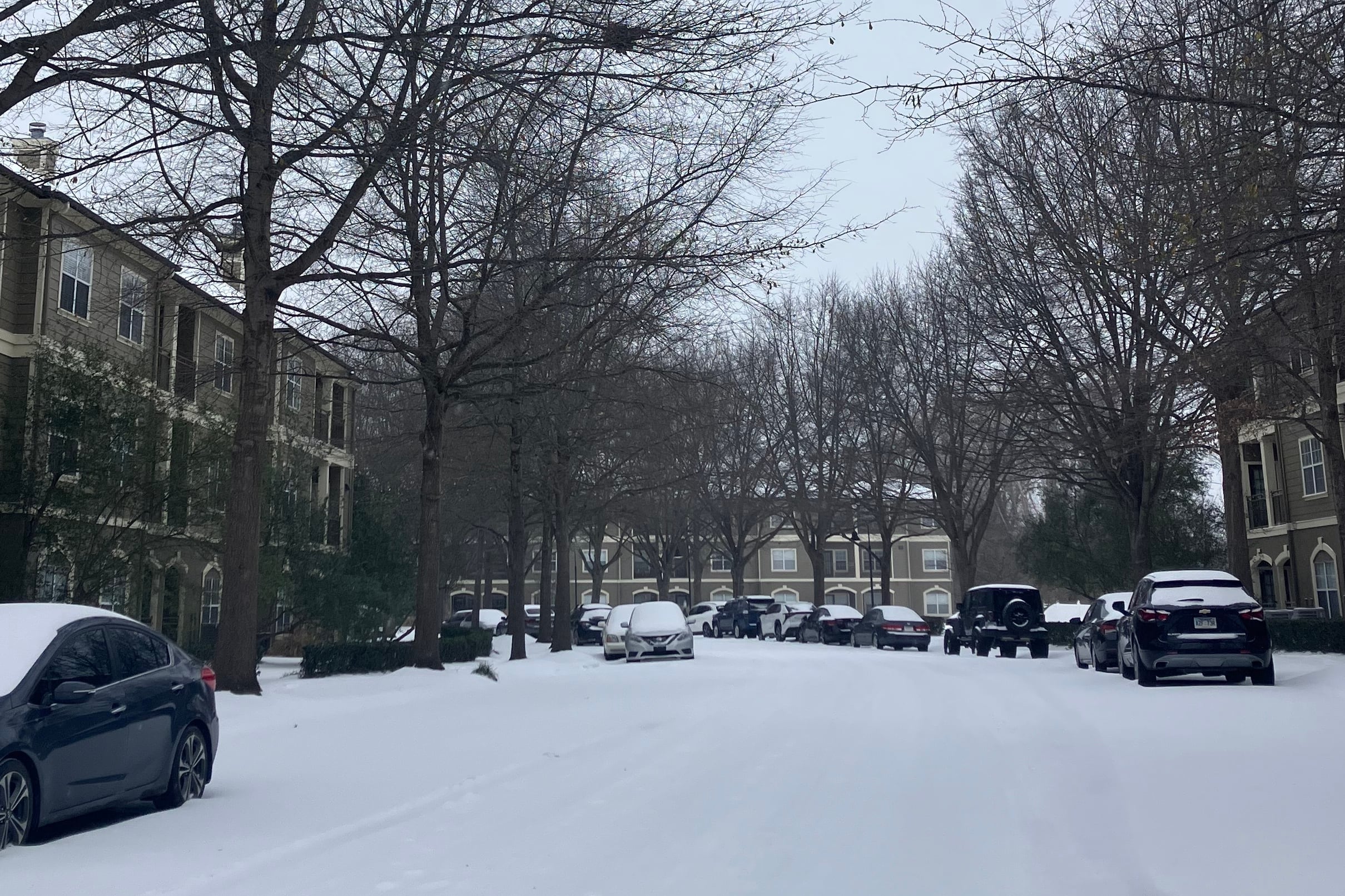 Trees and parked cars line a snow-covered road between two tan apartment buildings.