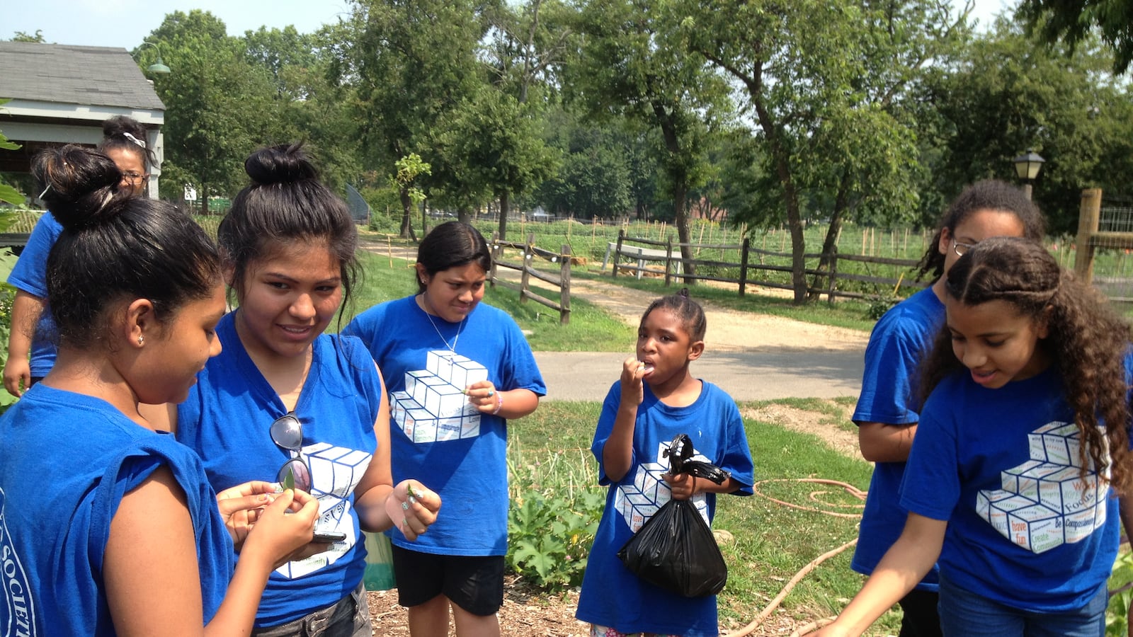 Summer camp at the community school at Mirabal Sisters Campus in Washington Heights includes a field trip to a local farm.