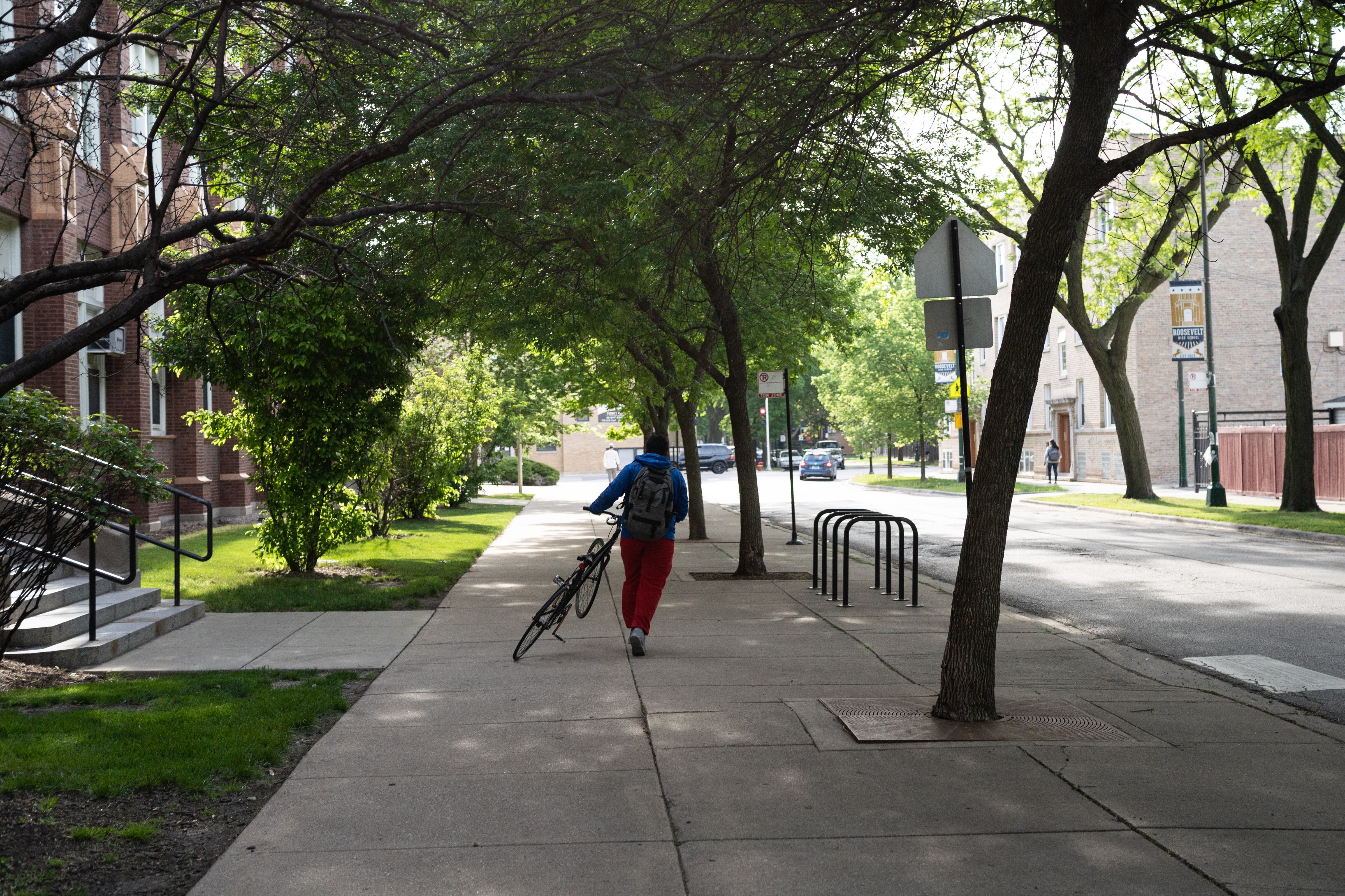 A young man walks his bike down a city sidewalk as light shines through the trees that line the street.