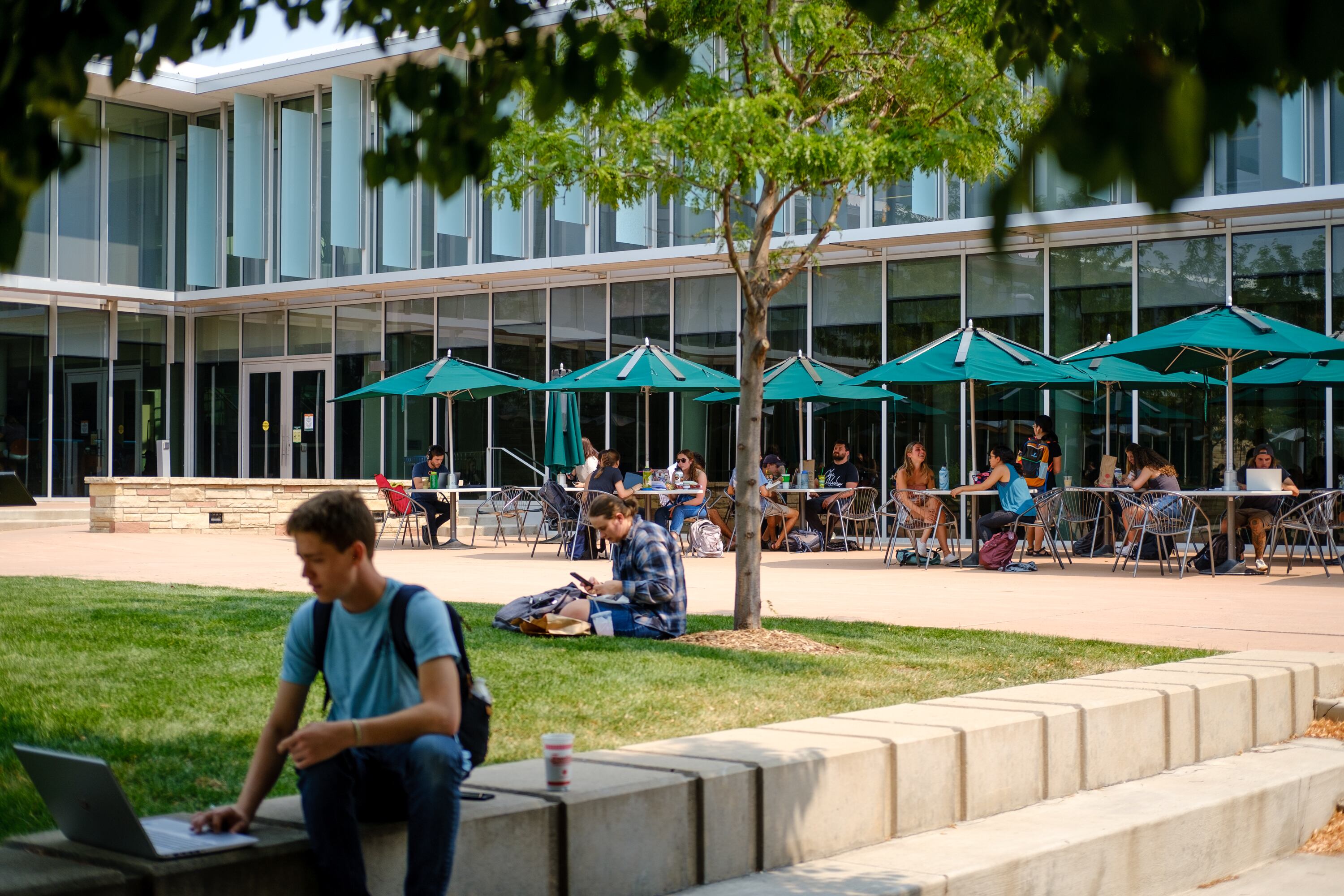 A boy wearing a blue shirt sits working at a laptop under the shade of a tree. Others behind his sit at tables in the shade.