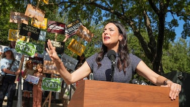 Election 2026: Voters’ choices up and down the ballot could change education policy