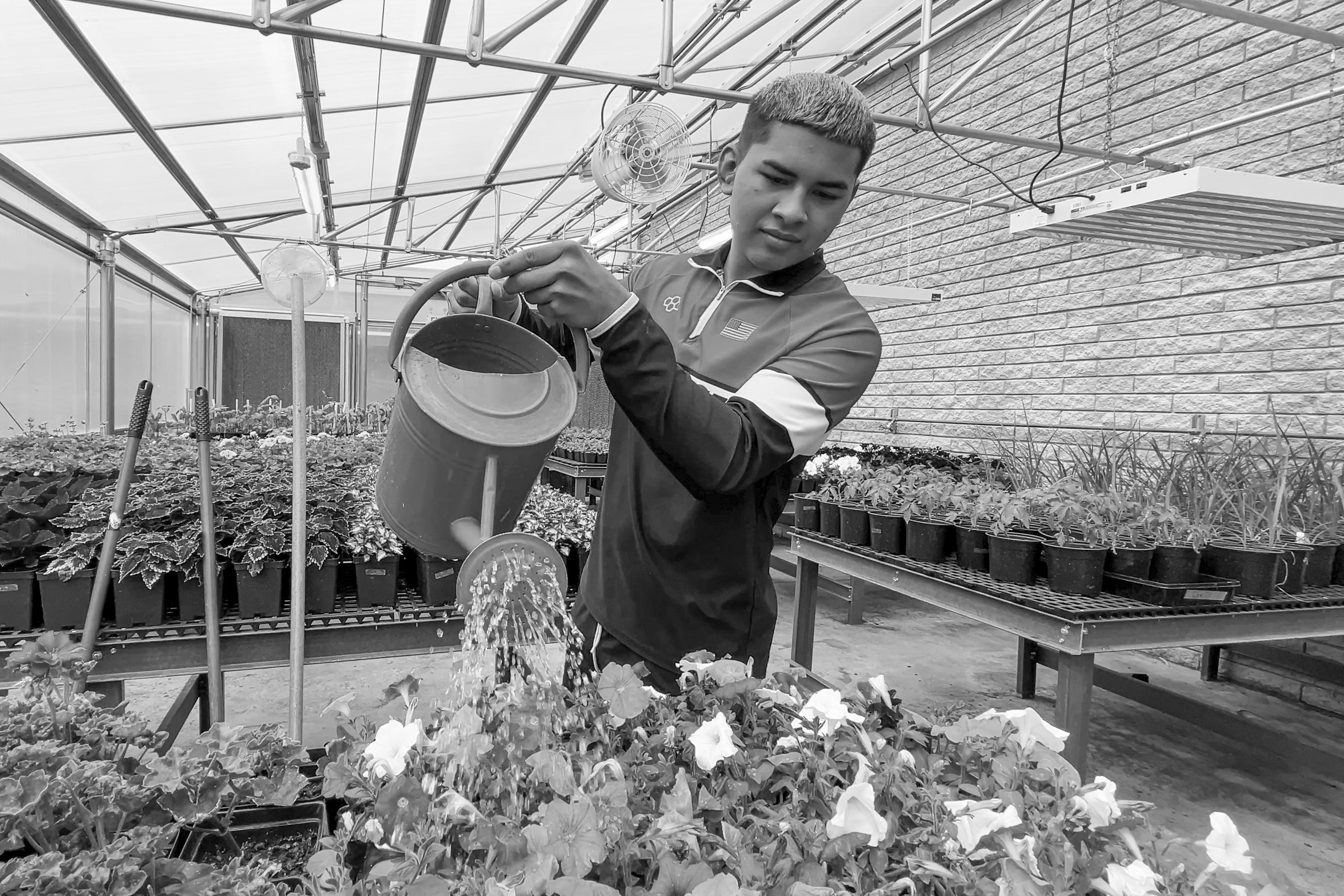 A student uses a watering can to water plants.