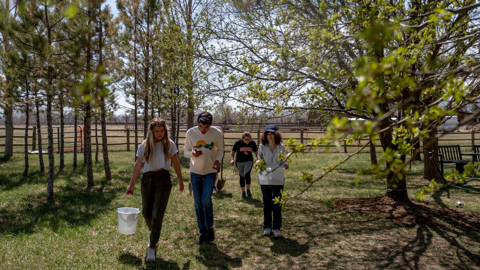Four high school students walk past thin trees, holding buckets and shovels used to plant saplings on a beautiful, sunny day.