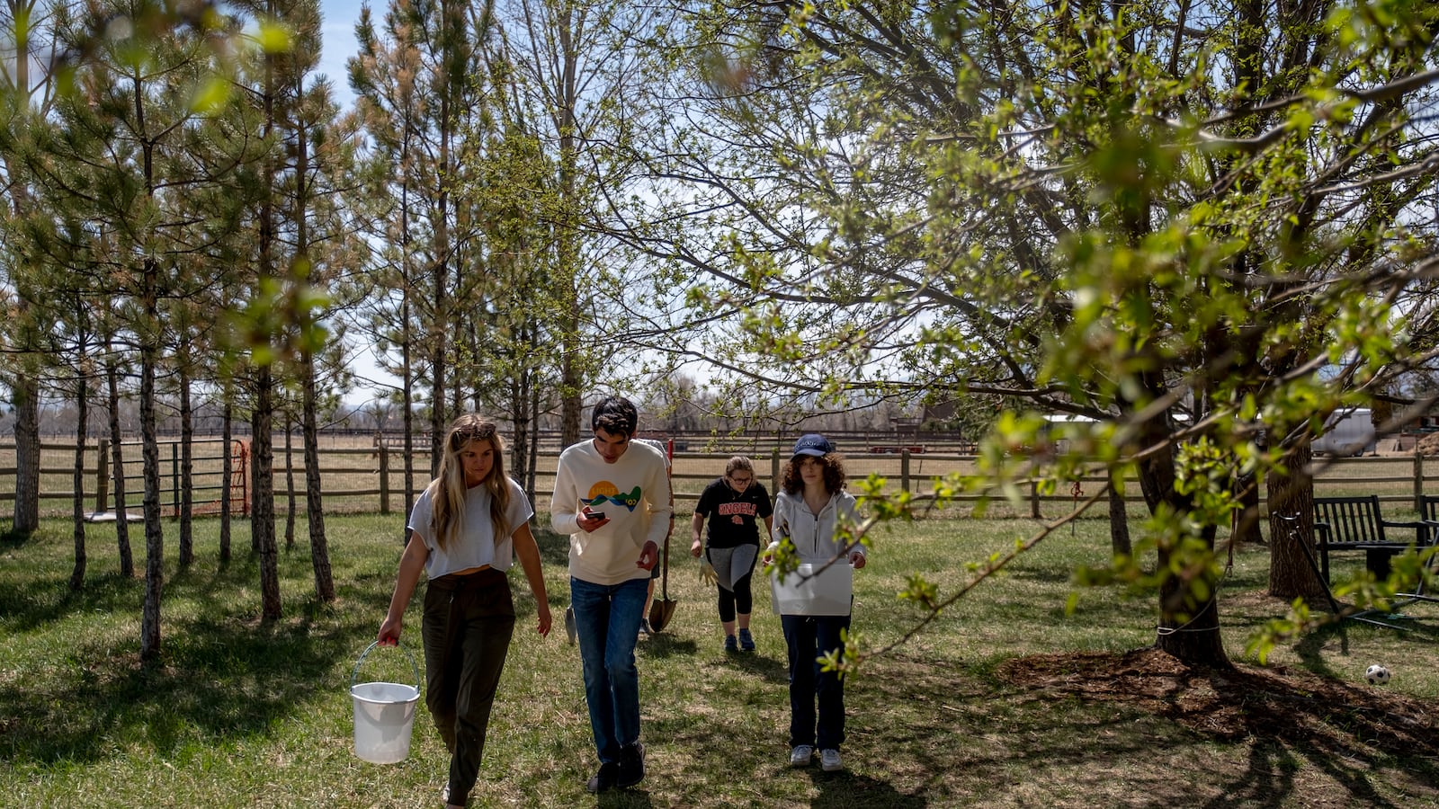 Four high school students walk past thin trees, holding buckets and shovels used to plant saplings on a beautiful, sunny day.
