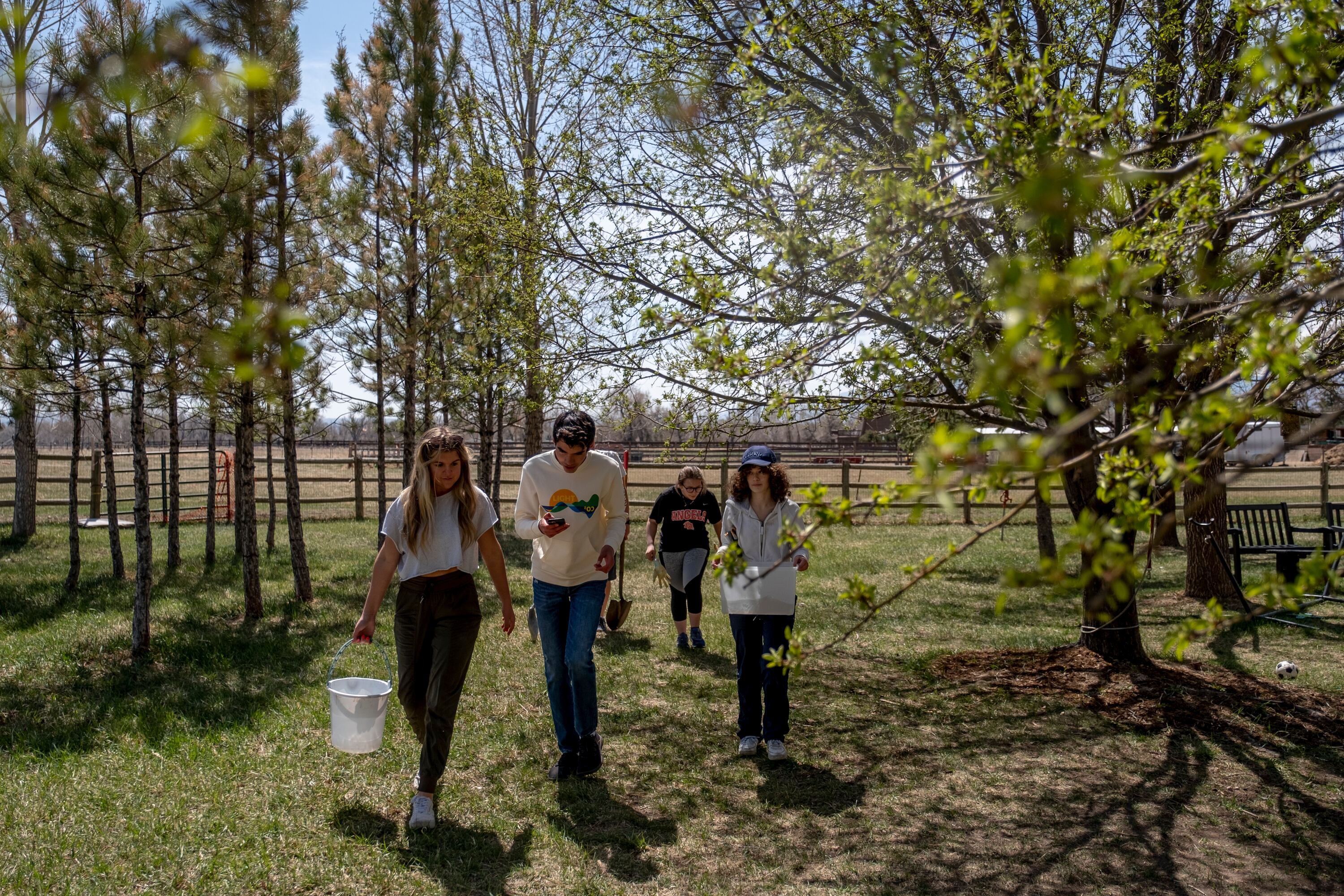Four high school students walk past thin trees, holding buckets and shovels used to plant saplings on a beautiful, sunny day.