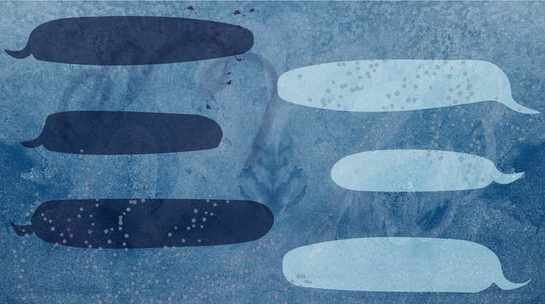 Chalkbeat explains: When can private schools discriminate against students?