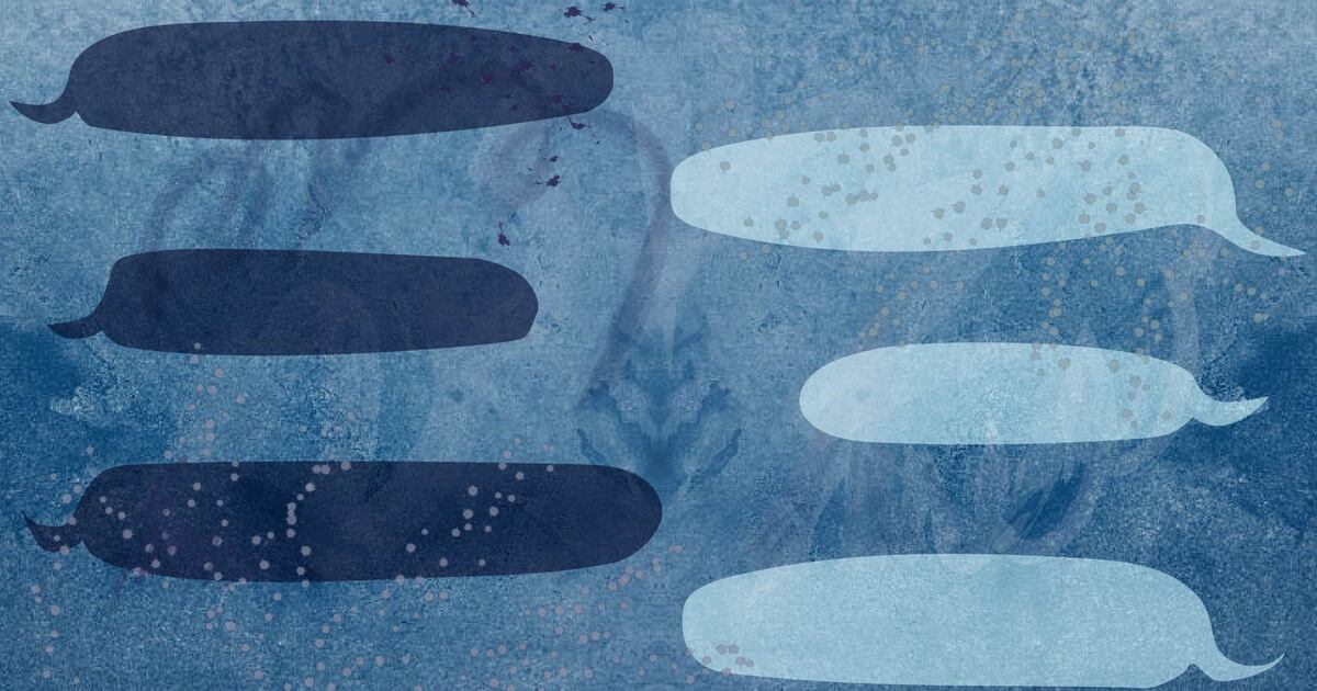 Chalkbeat explains When can private schools discriminate against