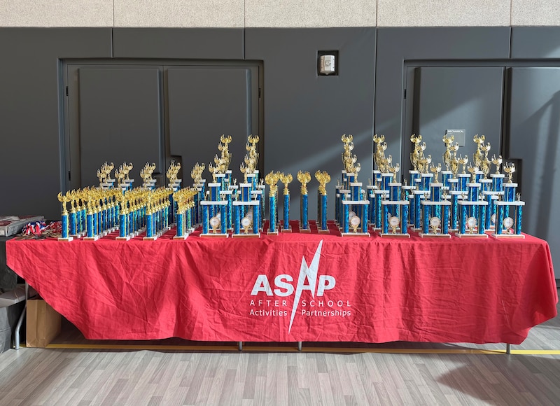 A photograph of a table with rows of trophies.