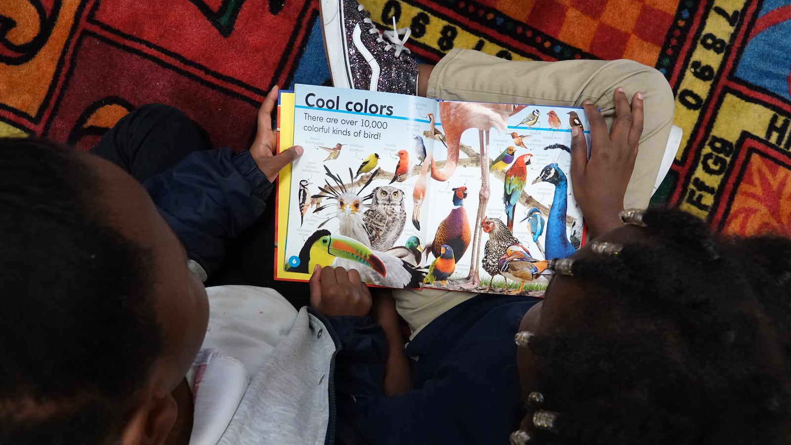 Close-up of students reading a book that says “Cool colors. There are over 10,000 colorful kinds of bird!”