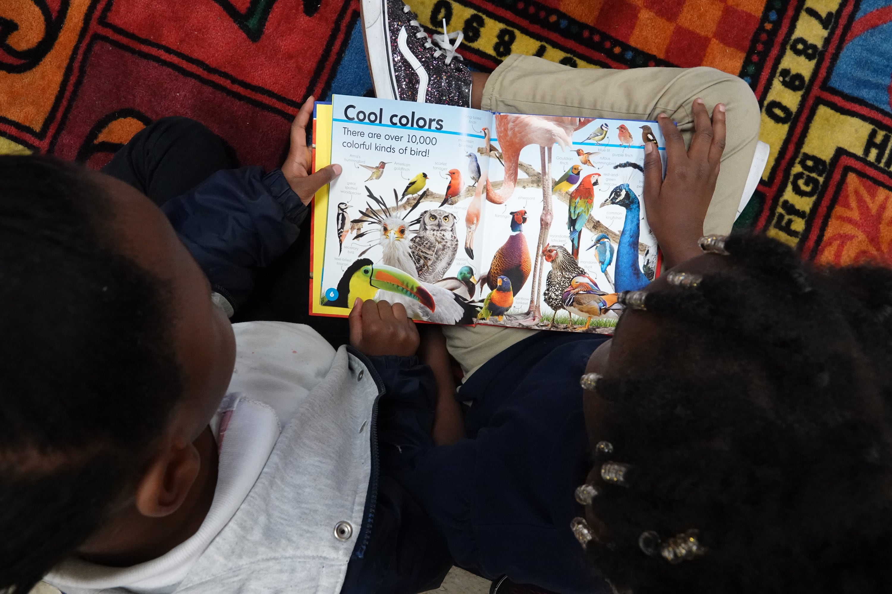 Close-up of students reading a book that says “Cool colors. There are over 10,000 colorful kinds of bird!”