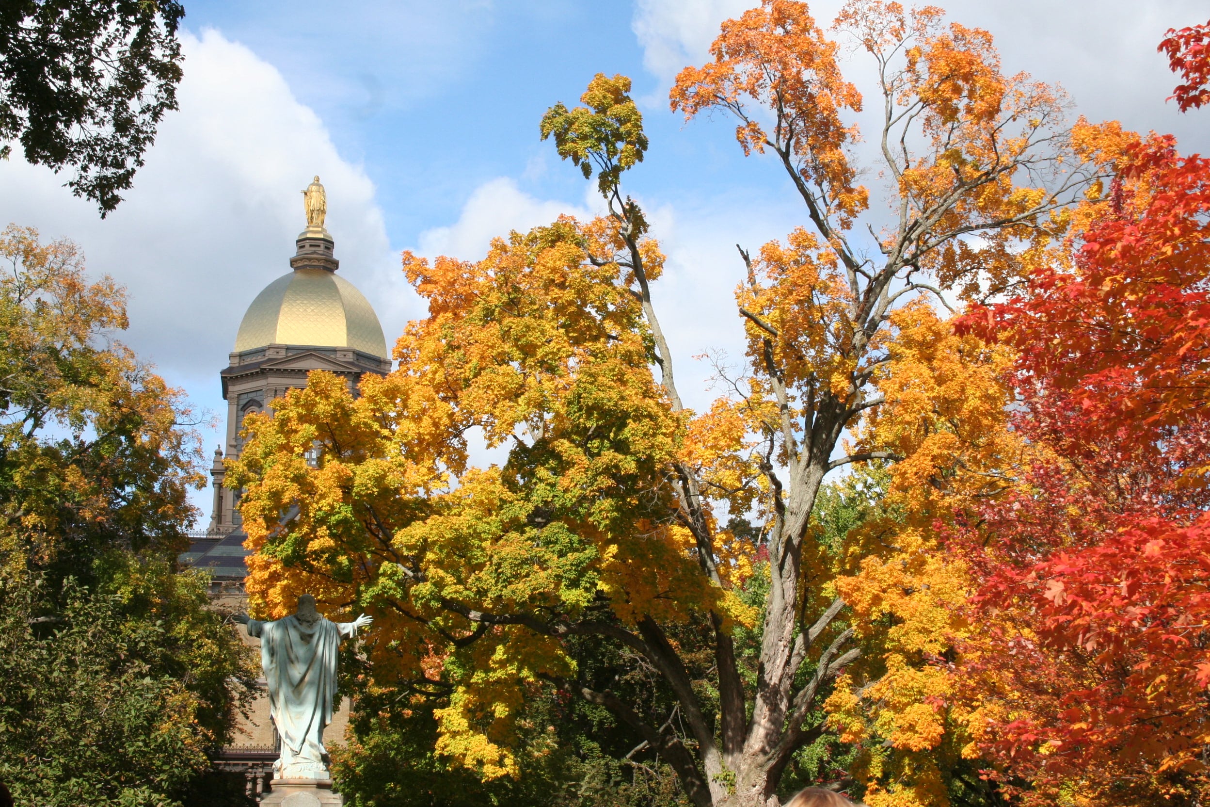 A gold-domed building surrounded by fall colors