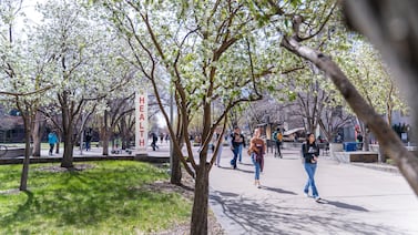 Trump administration rule targets private colleges’ tax-exempt status if they have DEI policies