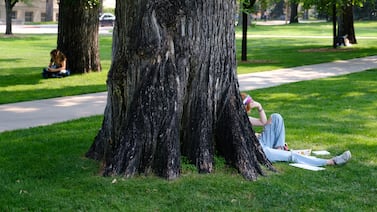 Colorado student enrollment was up at most public four-year universities, despite FAFSA glitches