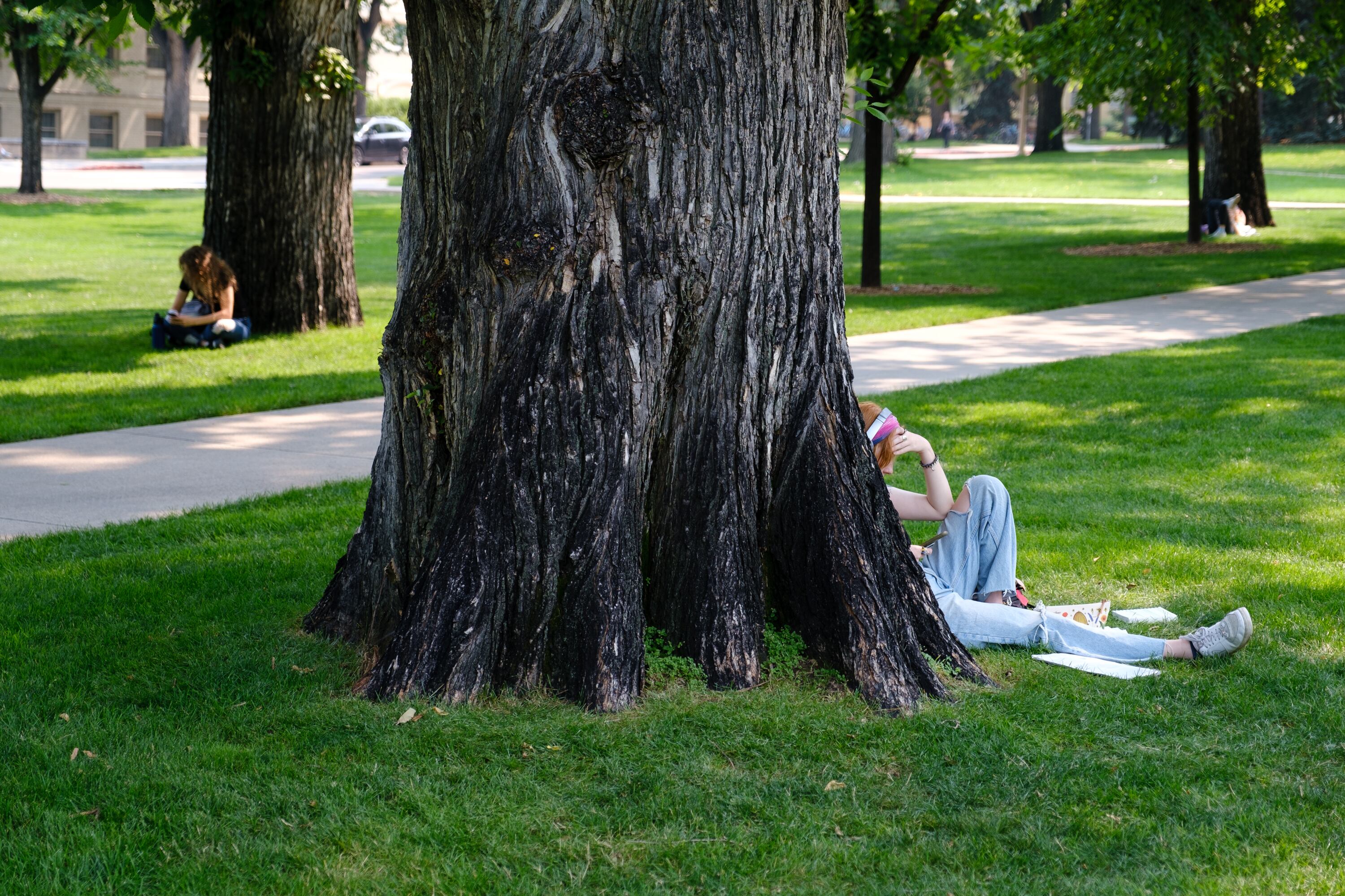 A partial view of a person sitting at the trunk of a large tree in a grassy lawn.