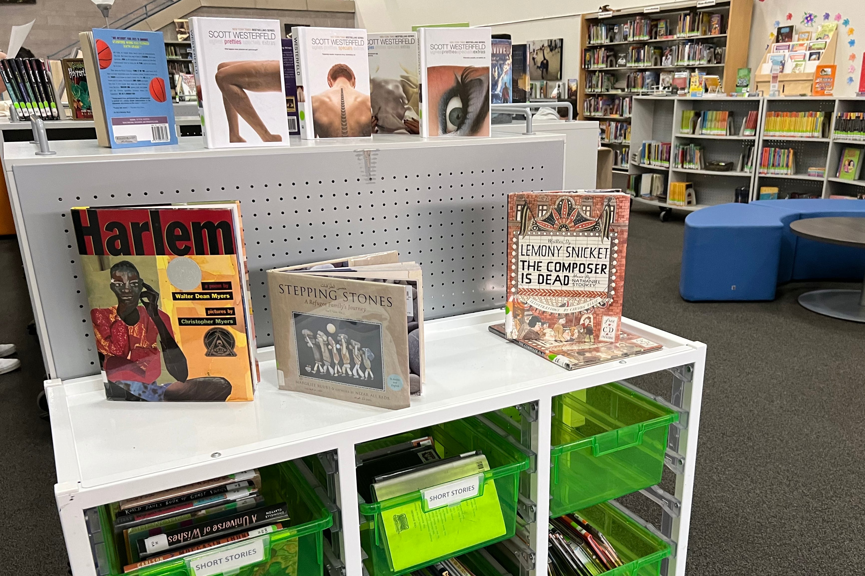 Books are displayed on top of a small bookshelf with a large bookshelf in the background.