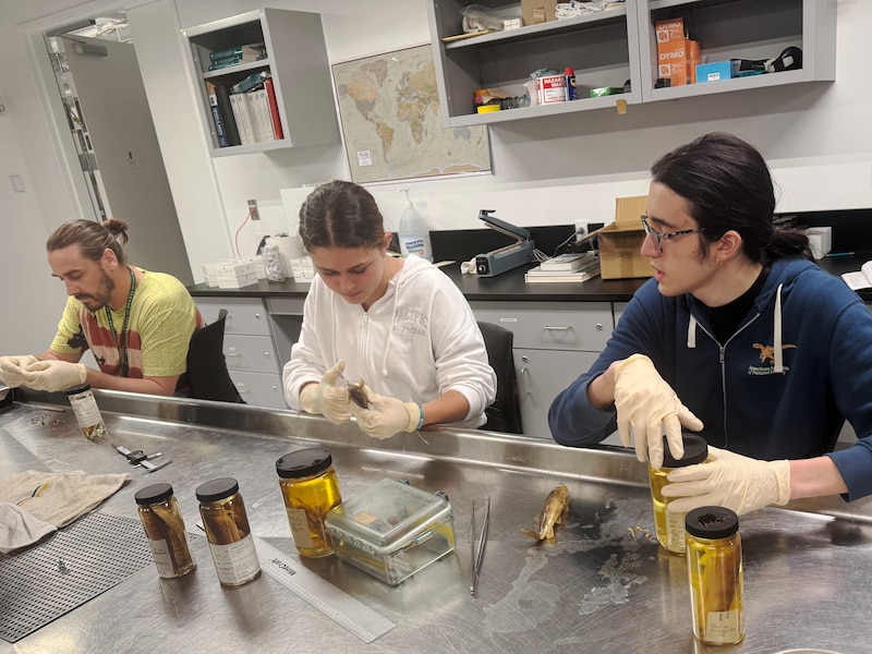 A man in a yellow t-shirt and students in a light shirt and a blue shirt work in a lab.