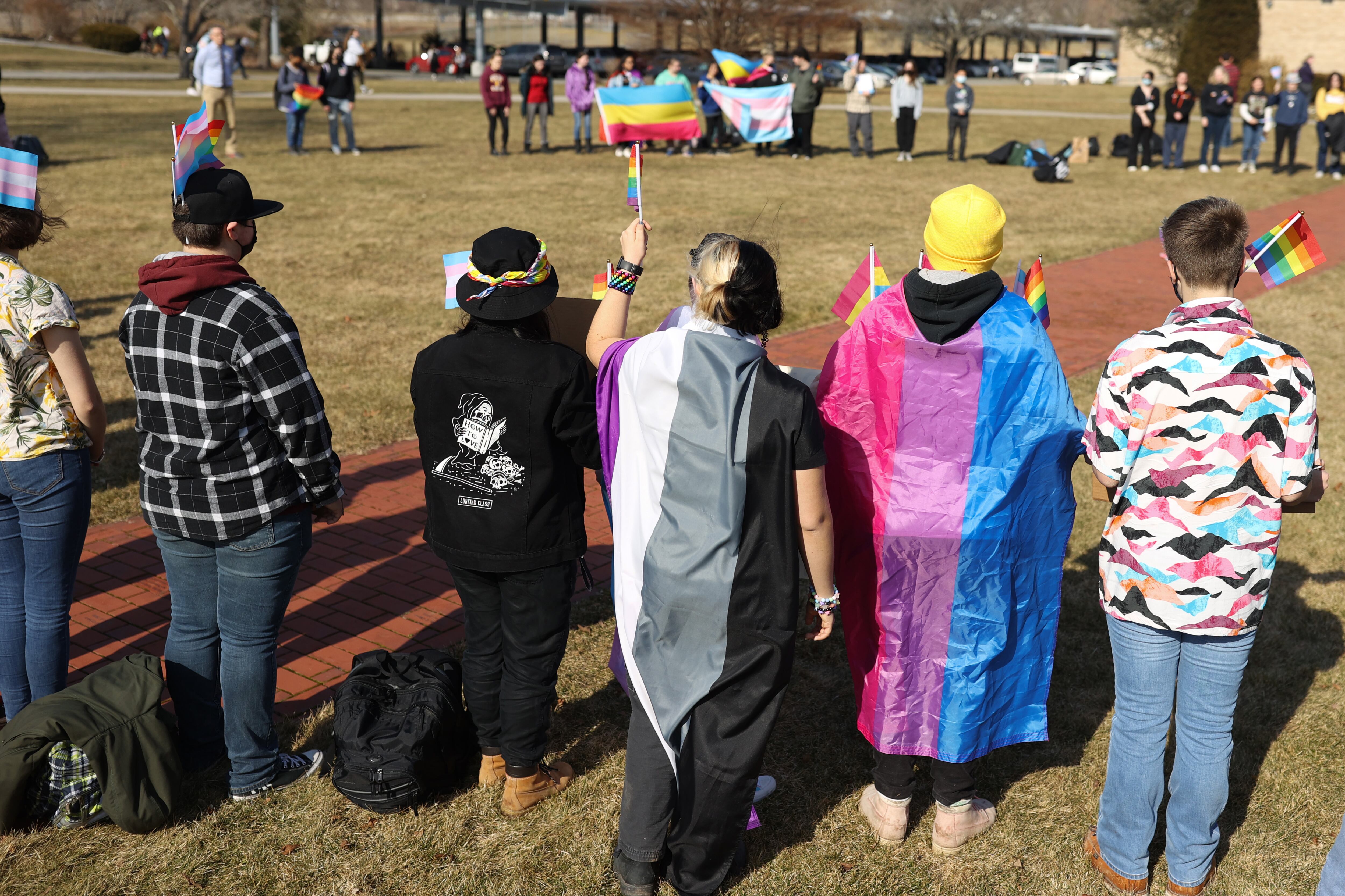 A group of seven young people with their backs to the camera, some wearing or holding Pride flags, attend a protest.