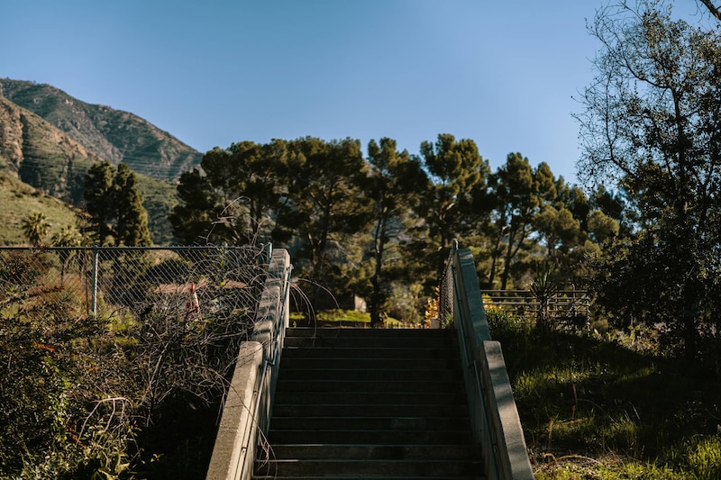 A photograph of an outdoor set of stairs leading up a hill with greenery in the background.