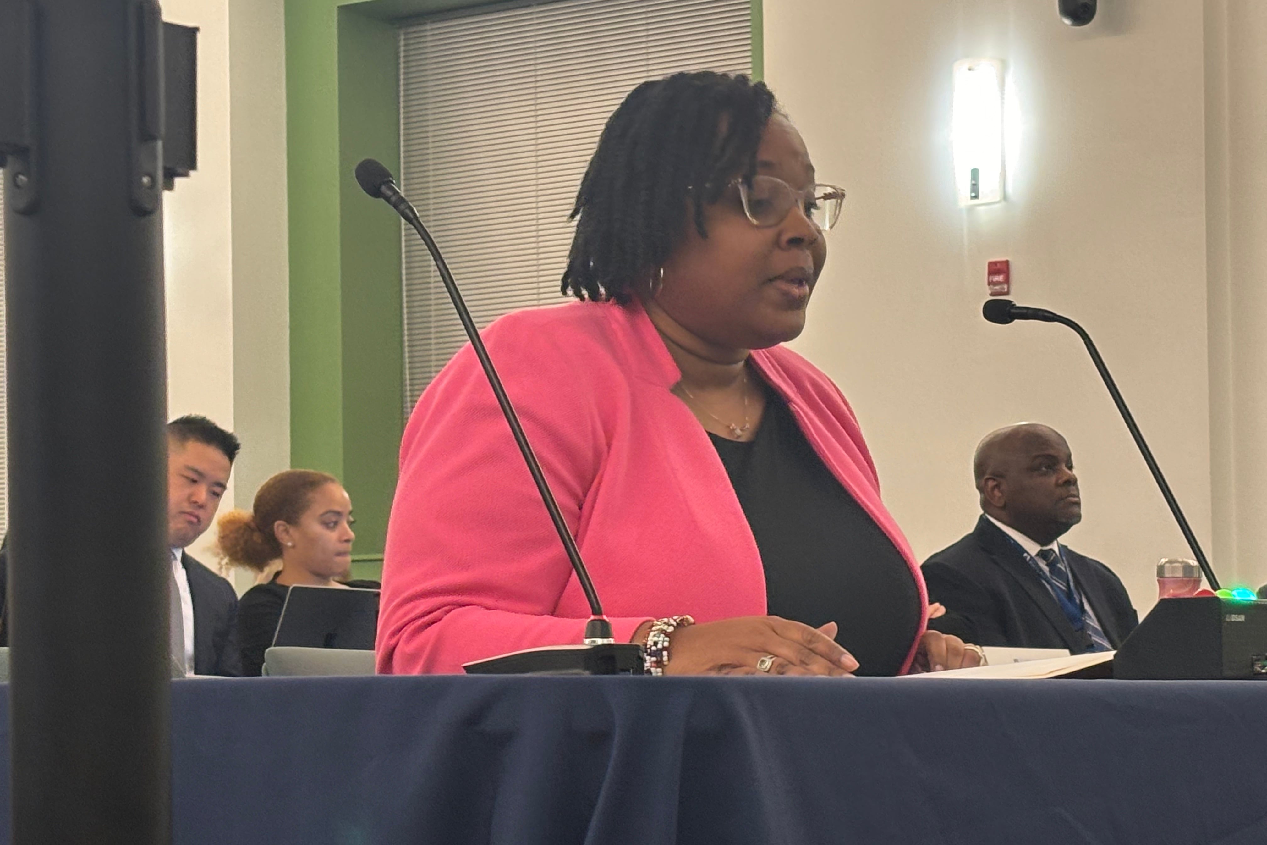 Southwest Leadership Academy Charter School CEO Leigh Purnell speaks at a podium