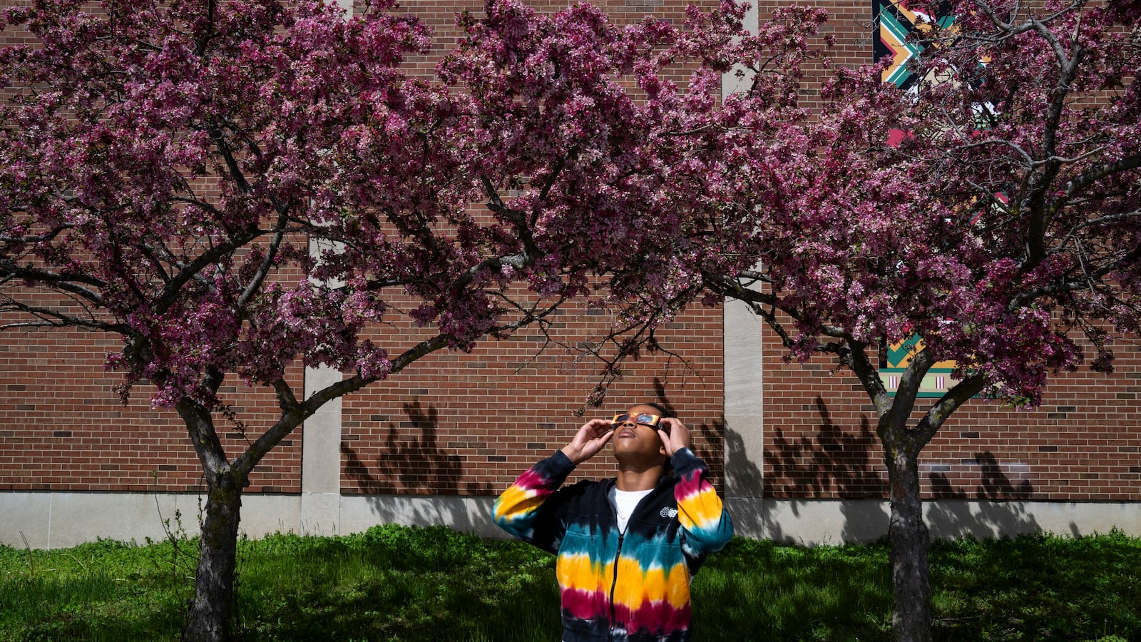 A young student wearing solar eclipse viewing glasses stands in front of two flowering trees and a brick building while looking up at the sky.