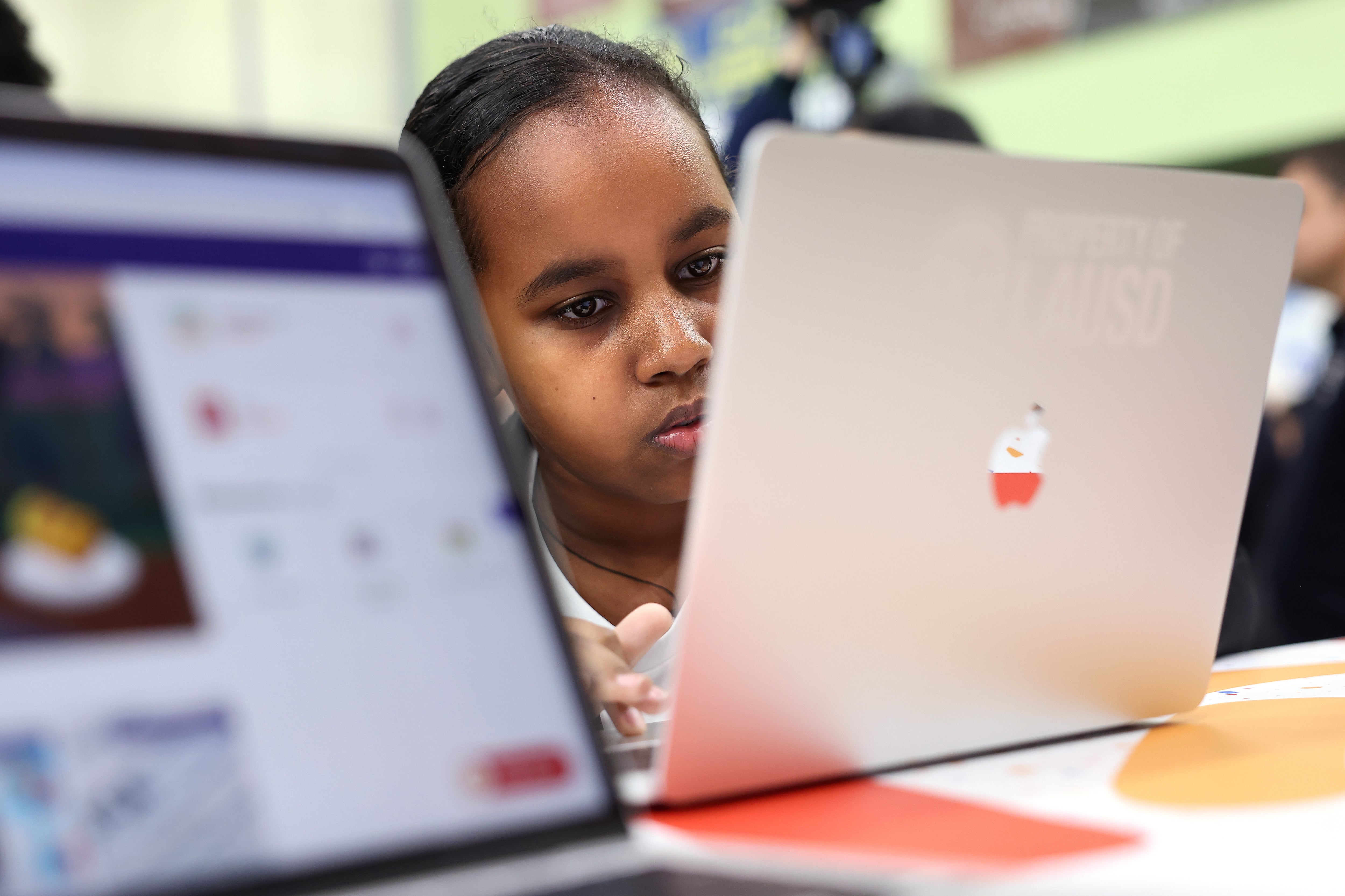 A student looks at a laptop computer screen.