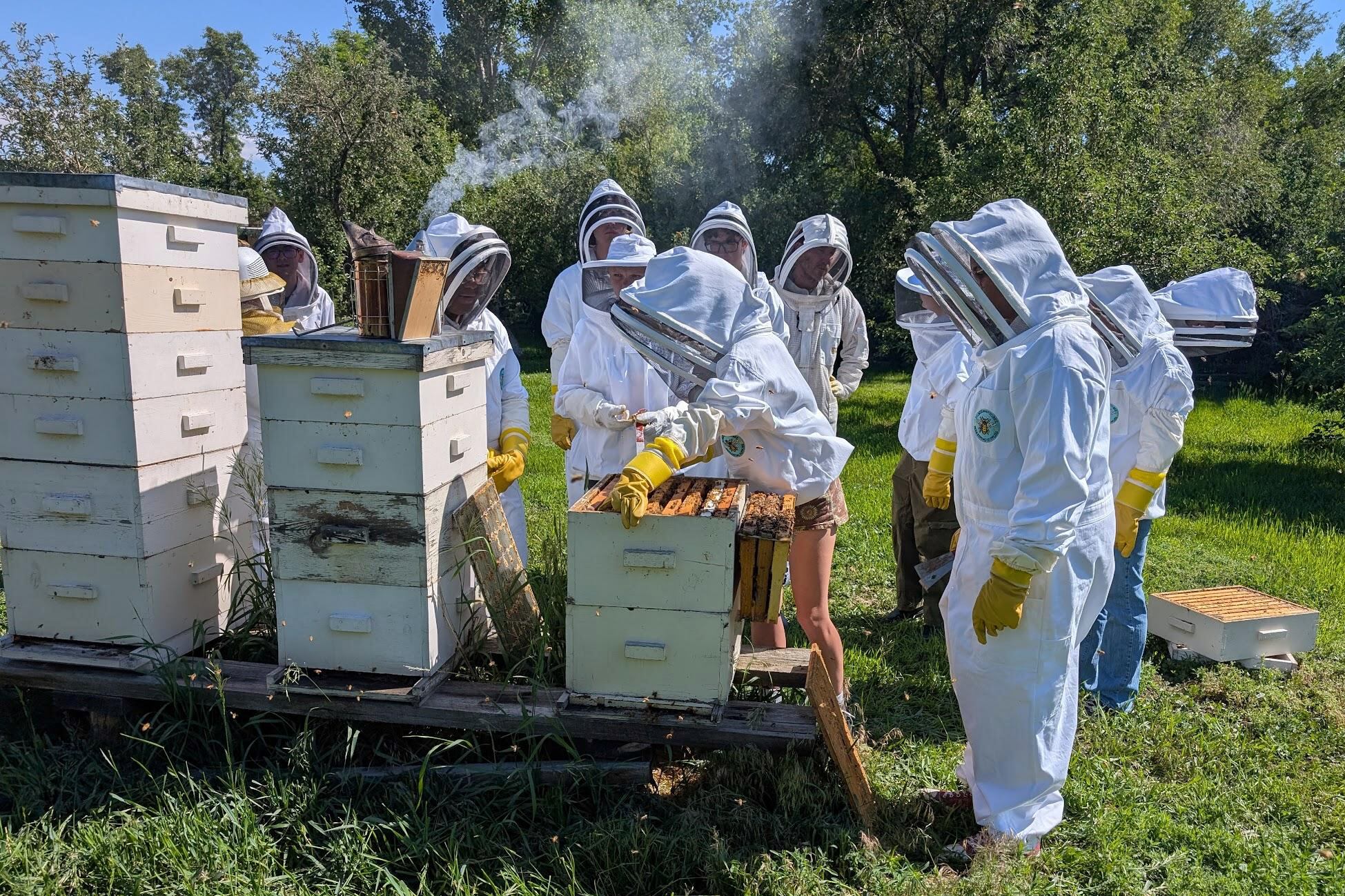 A photograph of a group of high school students and adults wearing white bee suits and masks.