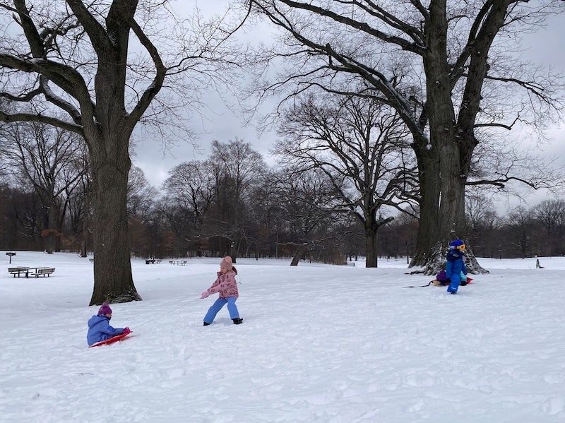 A photograph of adults and kids in winter coats go sledding on a wintery, snowy day.